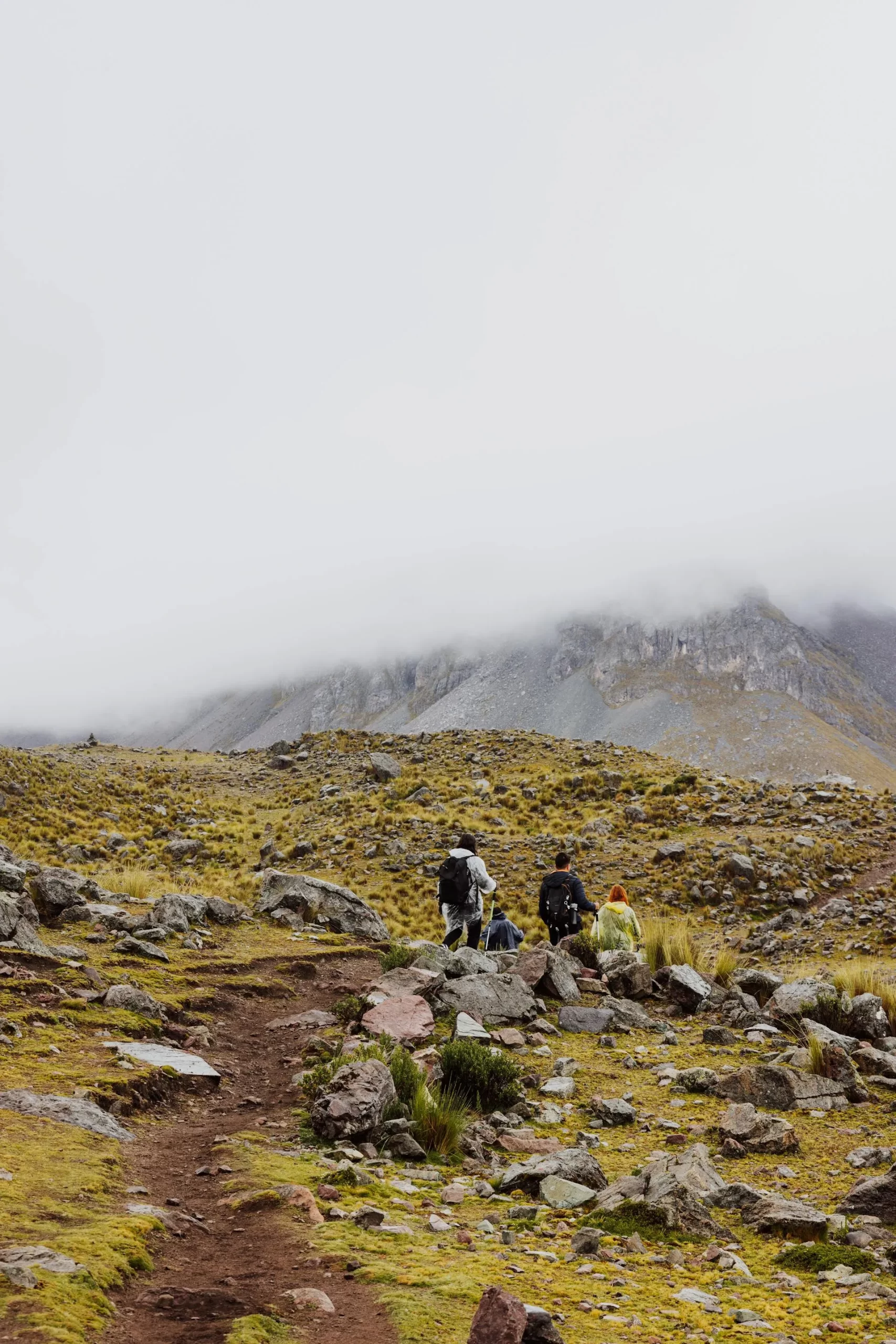 qhapaq-nan-système-de-routes-inca